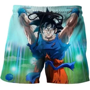 goku spirit bomb genkidama shorts