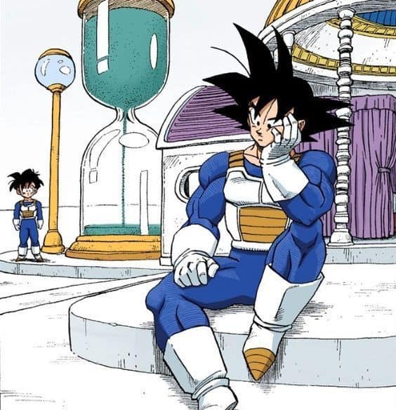 goku and gohan in the spirit and time room